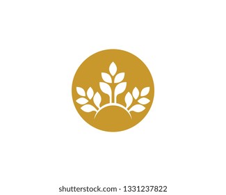 Wheat logo template