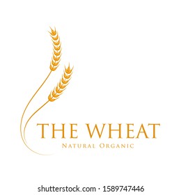 Wheat logo template, Agriculture wheat icon natural product