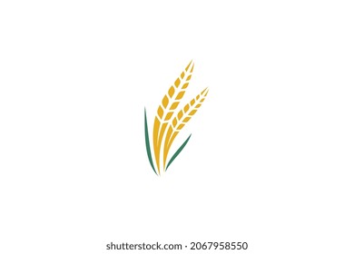 Wheat logo template design vector, icon illustration