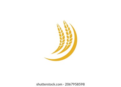 Wheat logo template design vector, icon illustration