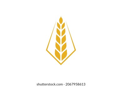 Wheat logo template design vector, icon illustration