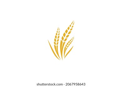 Wheat logo template design vector, icon illustration