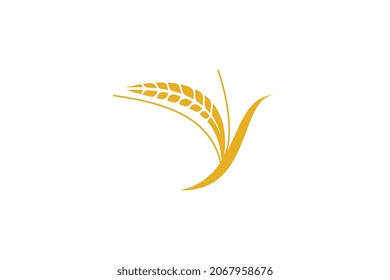 Wheat logo template design vector, icon illustration