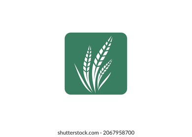 Wheat logo template design vector, icon illustration
