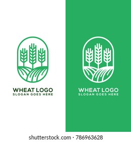 wheat logo template design - vector illustration