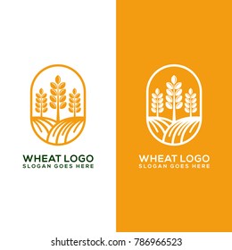 wheat logo template design - vector illustration