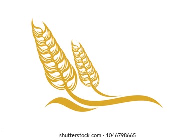 Wheat logo template. Organic concept. Nature icon symbol.