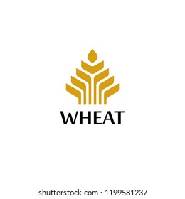 Wheat logo template simple modern luxury elegant grain bread food agriculture