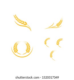  wheat Logo Template vector design
