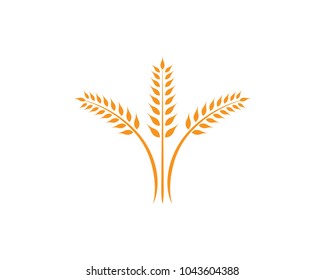 wheat Logo Template vector icon design 