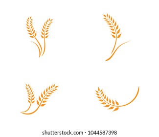 wheat Logo Template vector icon design 