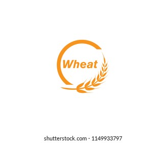 wheat Logo Template vector icon design