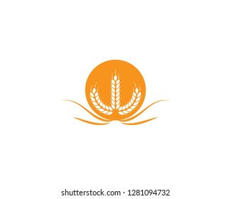 wheat Logo Template vector icon design