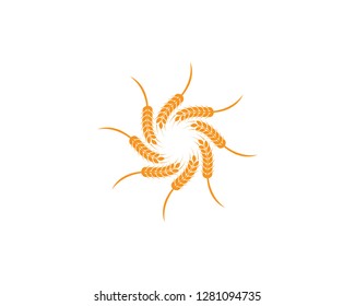 wheat Logo Template vector icon design