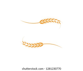 Wheat Logo Template vector icon design - Vector