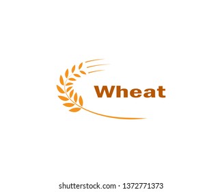 wheat Logo Template vector icon design - Vector