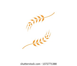 wheat Logo Template vector icon design - Vector