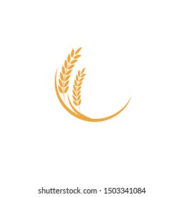 wheat Logo Template vector icon design
