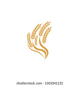 wheat Logo Template vector icon design
