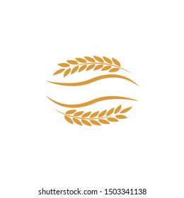 wheat Logo Template vector icon design
