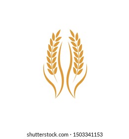wheat Logo Template vector icon design
