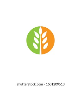 Wheat logo template vector icon illustration