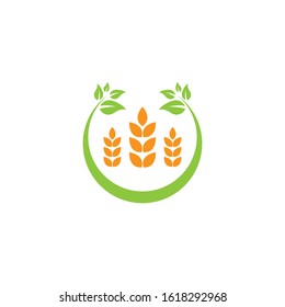Wheat logo template vector icon illustration