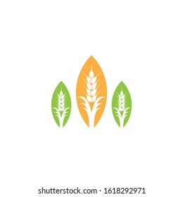 Wheat logo template vector icon illustration