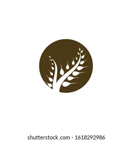Wheat logo template vector icon illustration