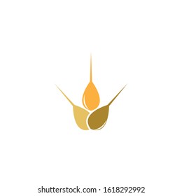 Wheat logo template vector icon illustration