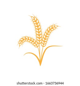  Wheat Logo Template vector icon design