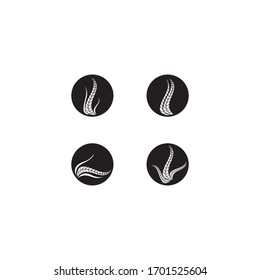 Wheat logo template vector icon illustration