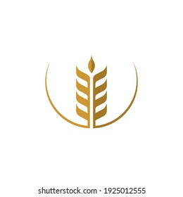 wheat Logo Template vector icon