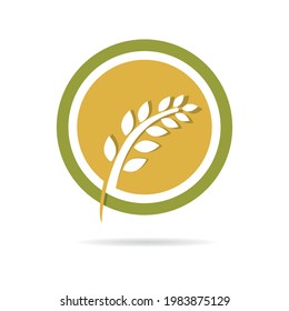 Wheat logo template vector icon