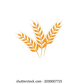 Wheat Logo template vector illustration design