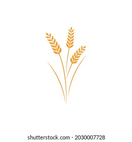 Wheat Logo template vector illustration design