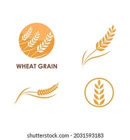 Wheat Logo template vector illustration design