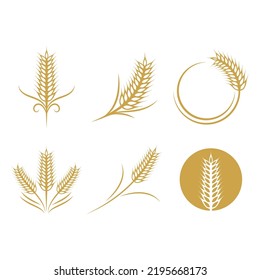 Wheat Logo template vector illustration design