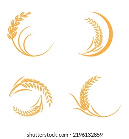 Wheat Logo template vector illustration design