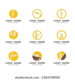 Diseño de ilustración vectorial de la plantilla de logotipo de trigo