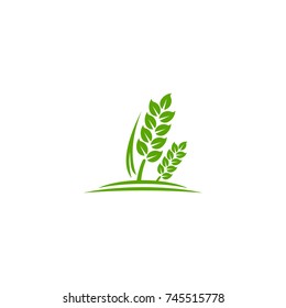wheat Logo Template vector illustration icon design dwonload