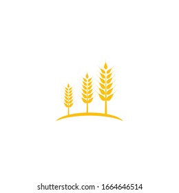 Wheat Logo Template vector symbol nature