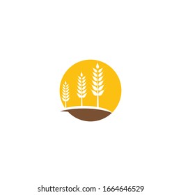 Wheat Logo Template vector symbol nature