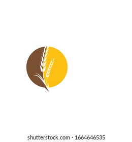 Wheat Logo Template vector symbol nature