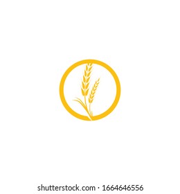 Wheat Logo Template vector symbol nature