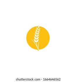 Carácter de símbolo vectorial de plantilla de logotipo de trigo
