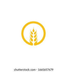 Carácter de símbolo vectorial de plantilla de logotipo de trigo