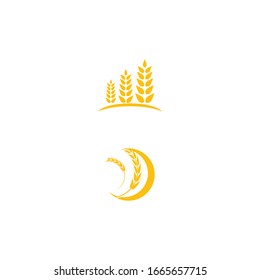 Wheat Logo Template vector symbol nature