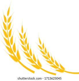 Wheat Logo Template vector symbol nature