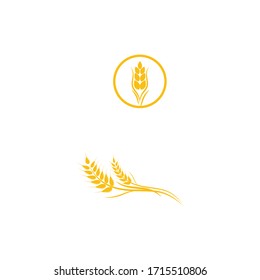 Wheat Logo Template vector symbol nature